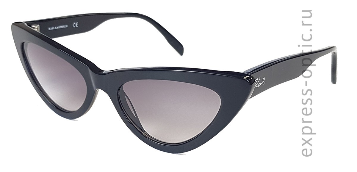 Солнцезащитные очки Karl Lagerfeld KL 6005